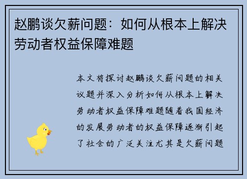 赵鹏谈欠薪问题：如何从根本上解决劳动者权益保障难题
